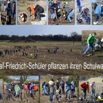 2016_0216_Collage_Pflanztag1_RobertHeuer-72